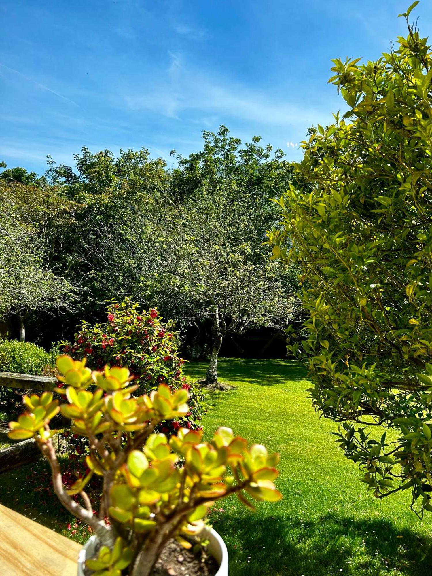 Apartamentos Rurales L'Arquera Llanes Dış mekan fotoğraf